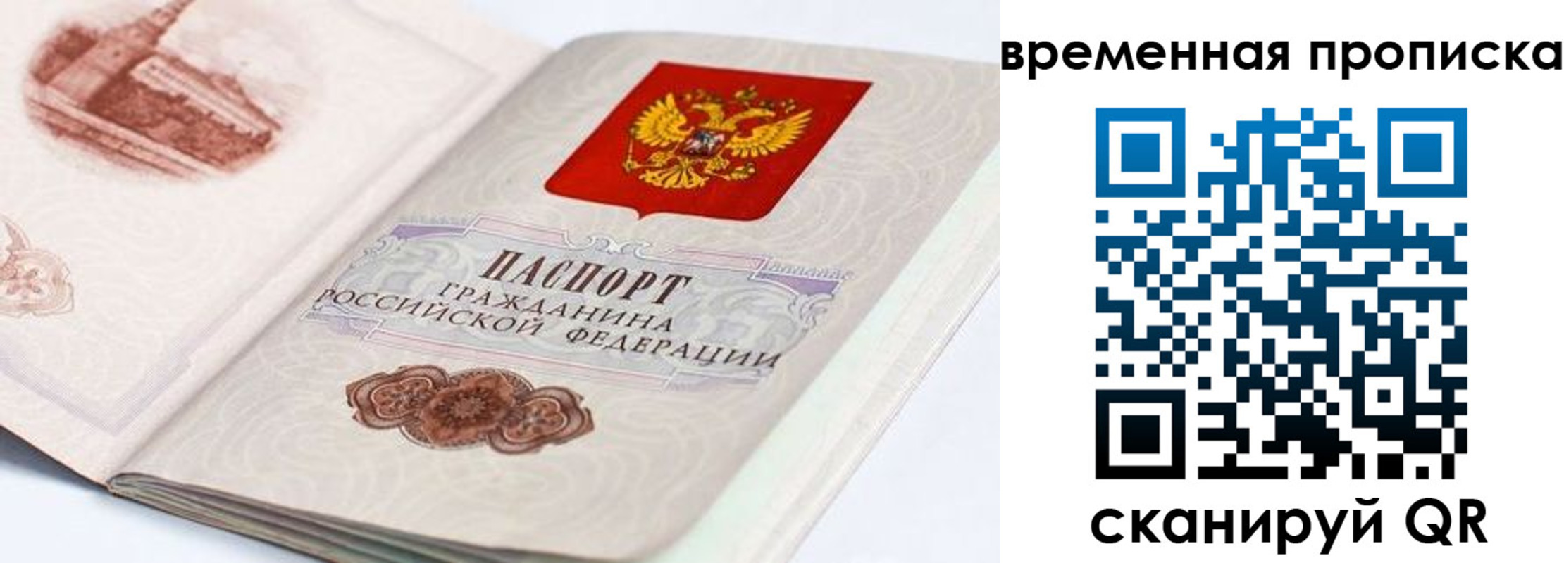 прописка 2025 в Химках